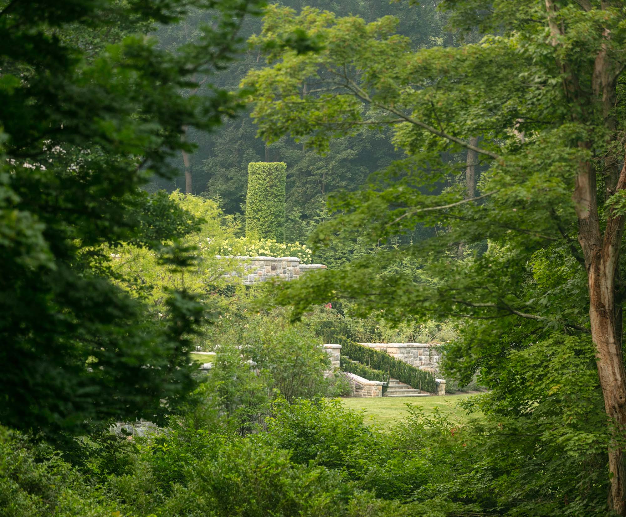 Rose Manor - Janice Parker Landscape Architects