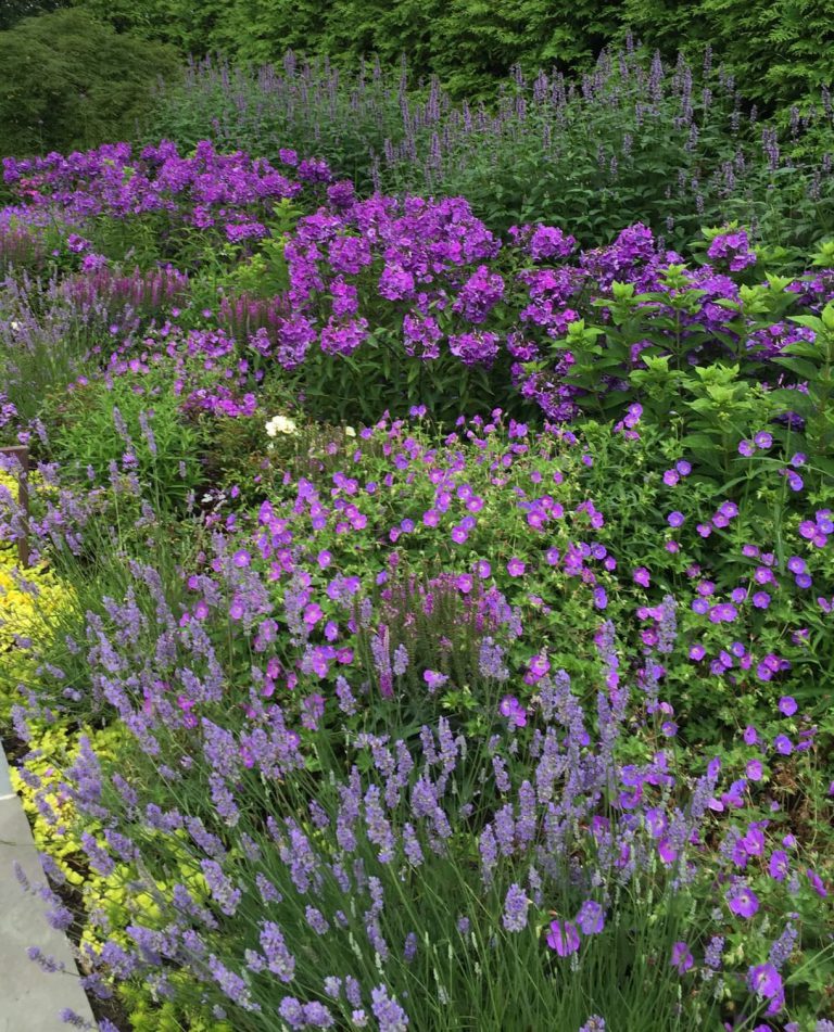 Saturate with Color - Janice Parker Landscape Architects